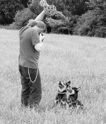 big_46287008_0_150-176